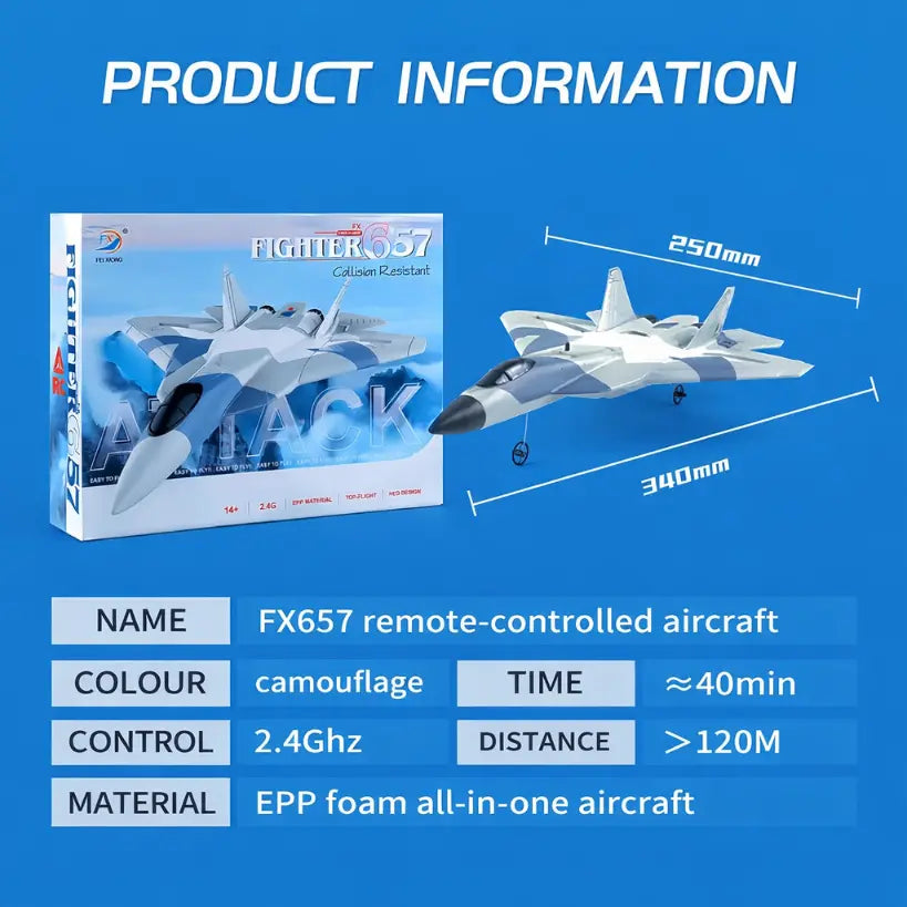 RC Aircraft 2.4G Remote Control Fighter Plane